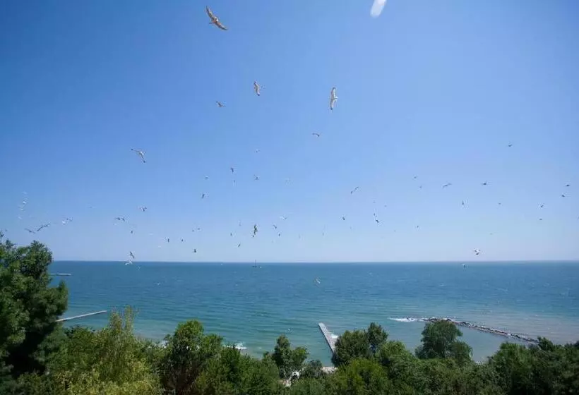 Bisser Hotel   Free Parking   Free Pool Access