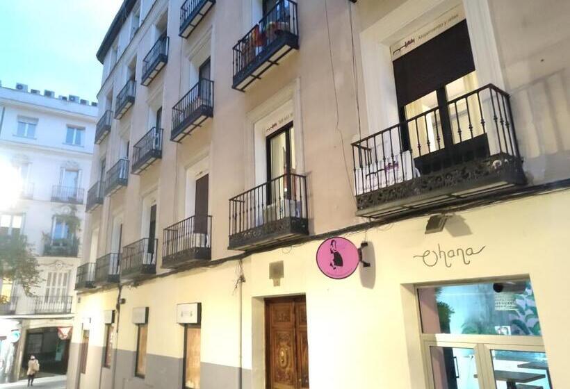 مسافرخانه Madrid House Rooms