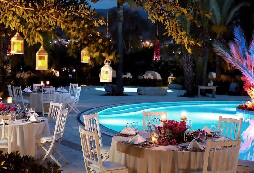 Отель Divan Bodrum Palmira