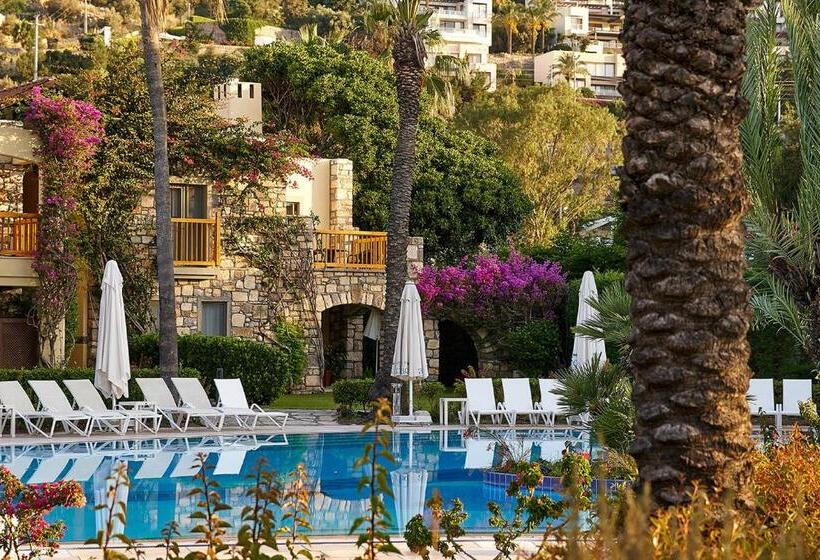 Отель Divan Bodrum Palmira