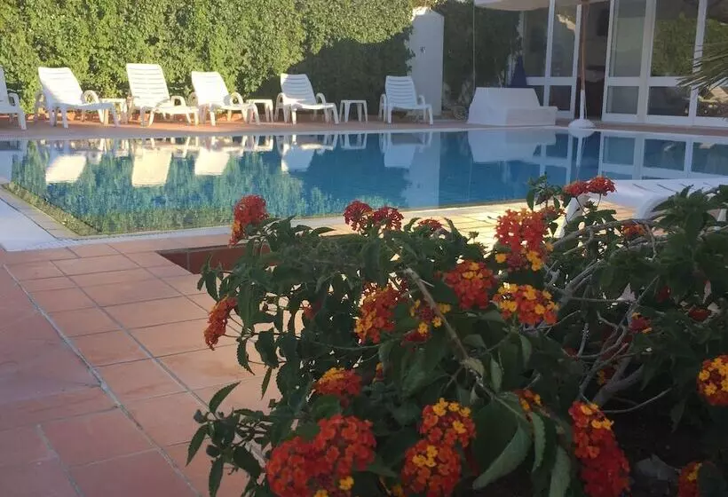 Отель Pithaecusa