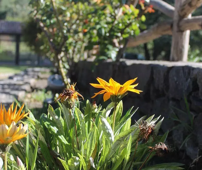 田舎風ホテル Le Cisterne