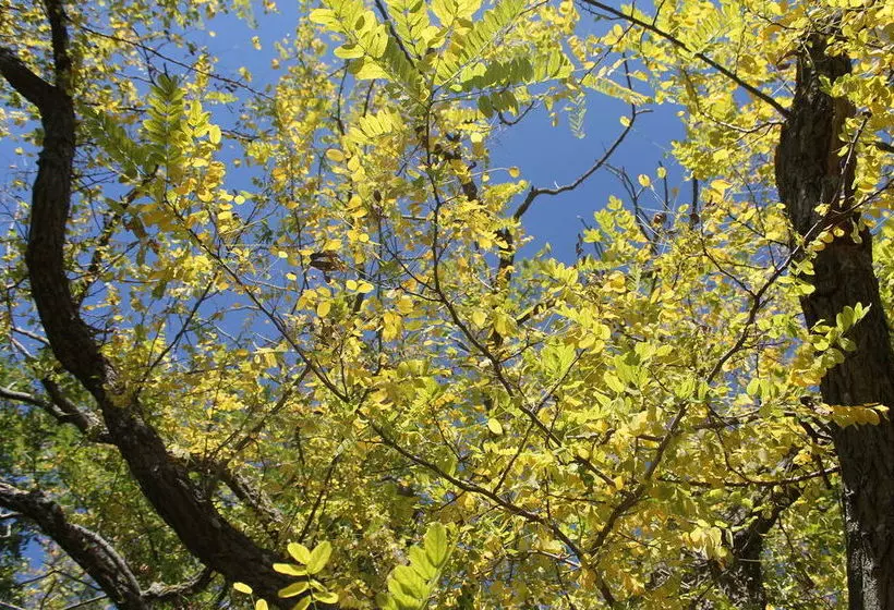 田舎風ホテル Le Cisterne