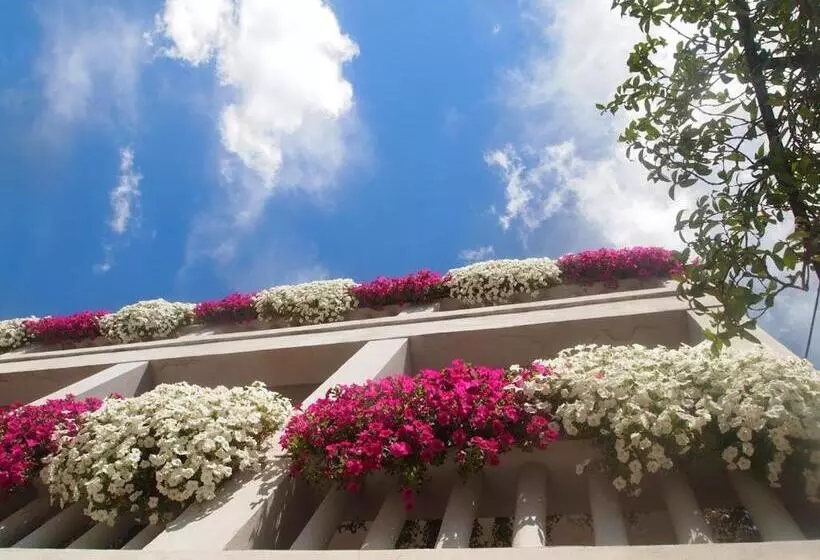 هتل Soggiorno Lo Stellino