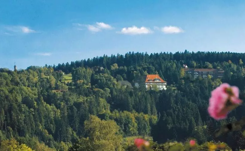 Отель Teuchelwald