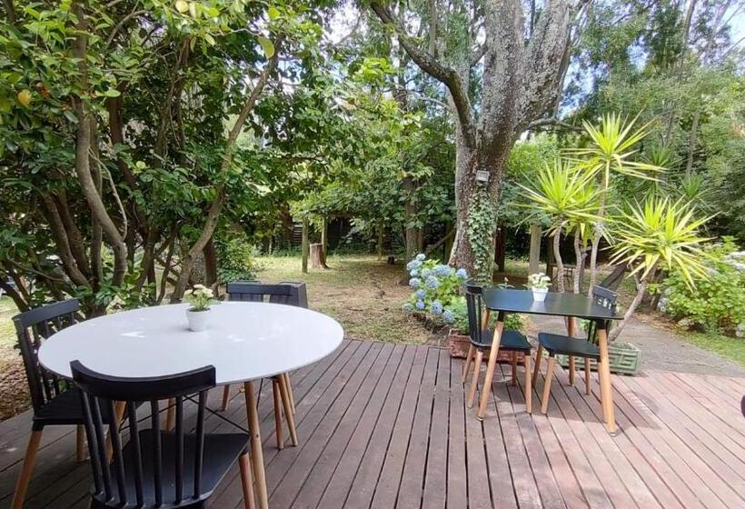 هاستل La Nuez Bnb