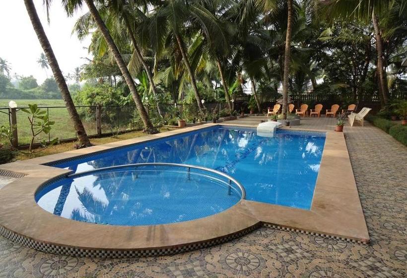 פנסיון Palm Shades Spring