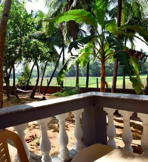 پانسیون Palm Shades Spring
