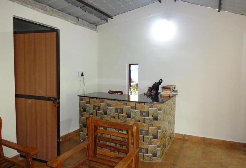 פנסיון Palm Shades Spring