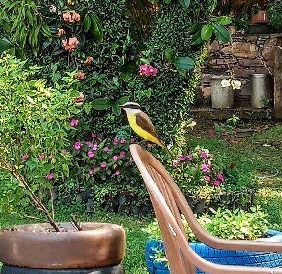 펜션 Pousada Casa Da Geleia