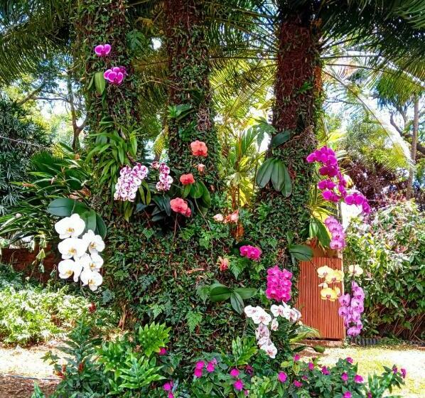 펜션 Pousada Casa Da Geleia