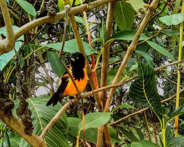 펜션 Pousada Casa Da Geleia