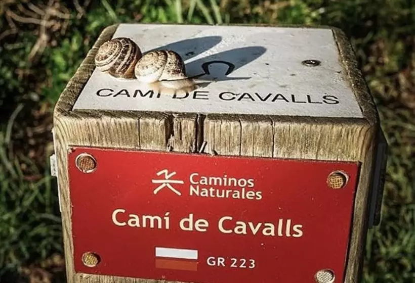 Carema Garden Village