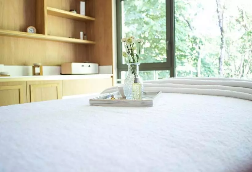 Отель L Orangerie Du Chateau Des Reynats