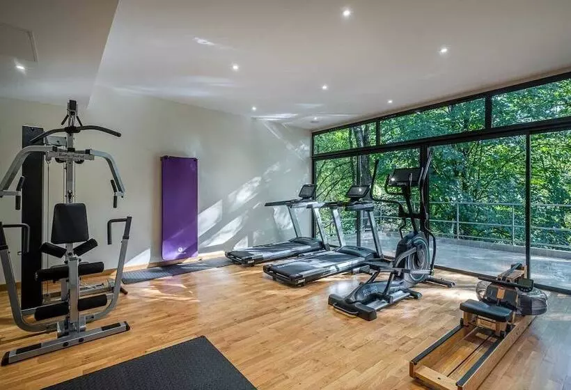 Отель L Orangerie Du Chateau Des Reynats