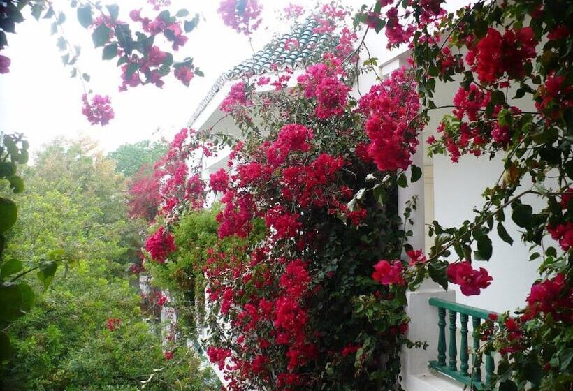 فندق Shalimar Hammamet