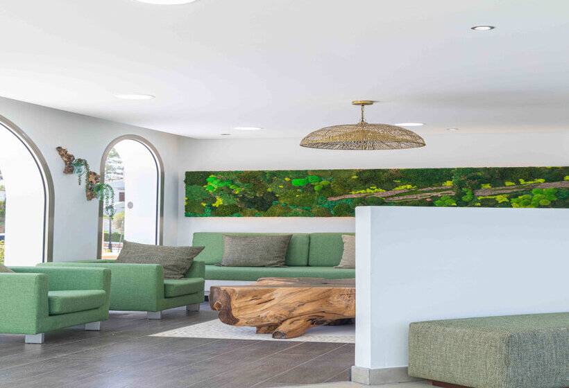 Apartamentos Ferrera Beach