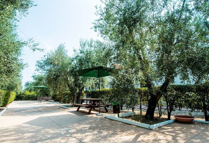 فندق Giardino Degli Ulivi Resort