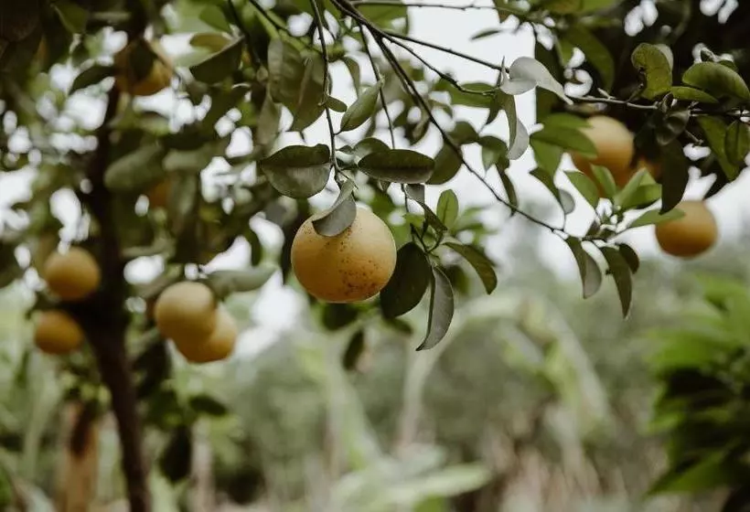 Hôtel Le Bled Ferme
