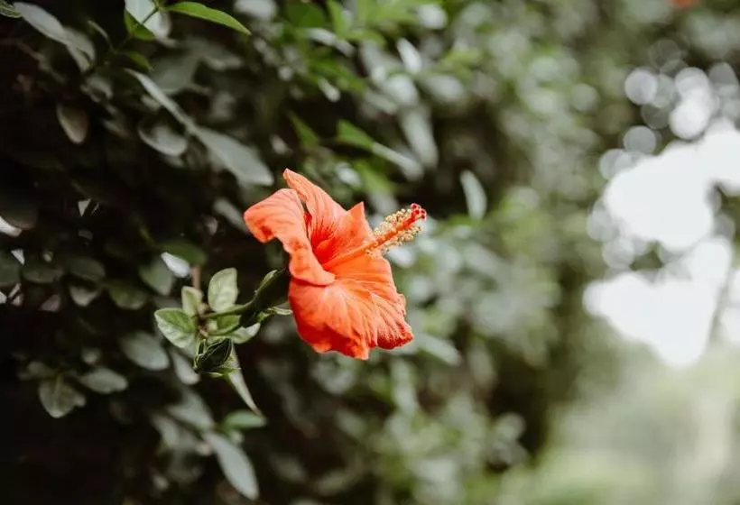 Hôtel Le Bled Ferme
