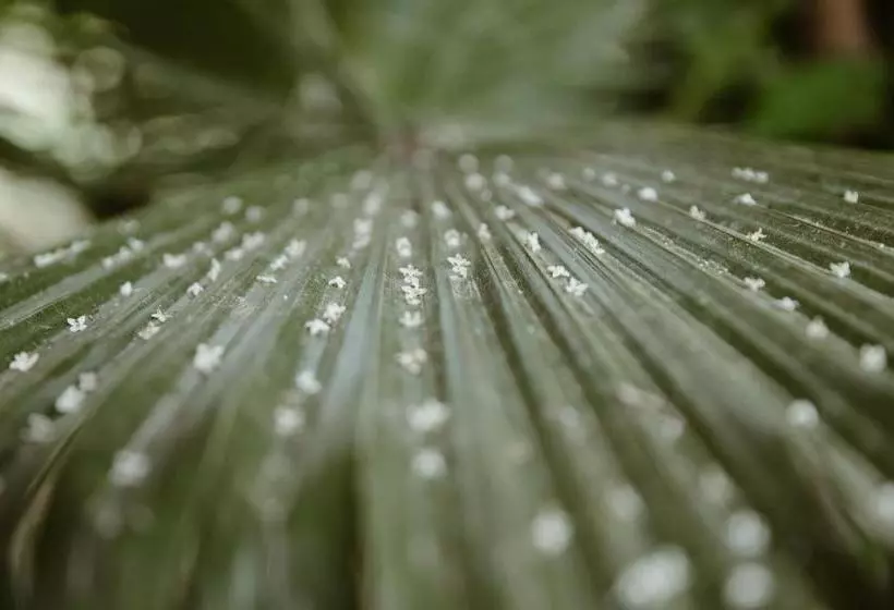 Hôtel Le Bled Ferme
