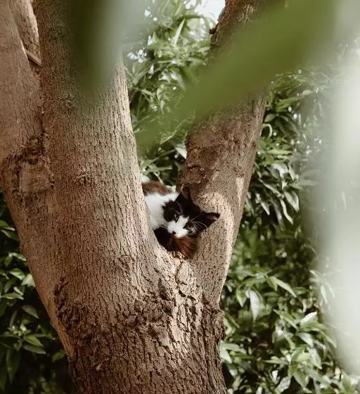 Hôtel Le Bled Ferme