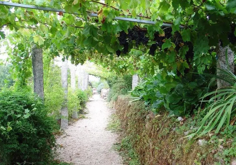 田舎風ホテル Convento Dos Capuchos