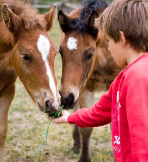 ユースホステル L Orri Del Pallars