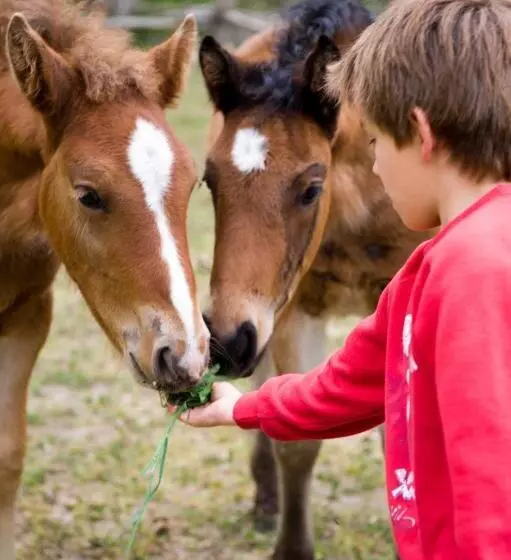 Общежитие L Orri Del Pallars