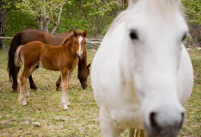 ユースホステル L Orri Del Pallars