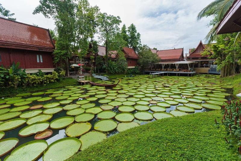 Hotel Ma Doo Bua Stay   Sha Extra Plus