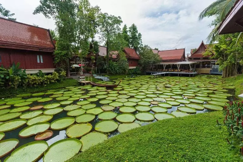 Hotel Ma Doo Bua Stay   Sha Extra Plus