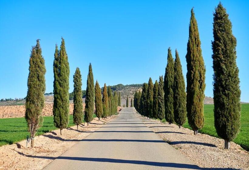 בית מלון כפרי Pago De Cirsus