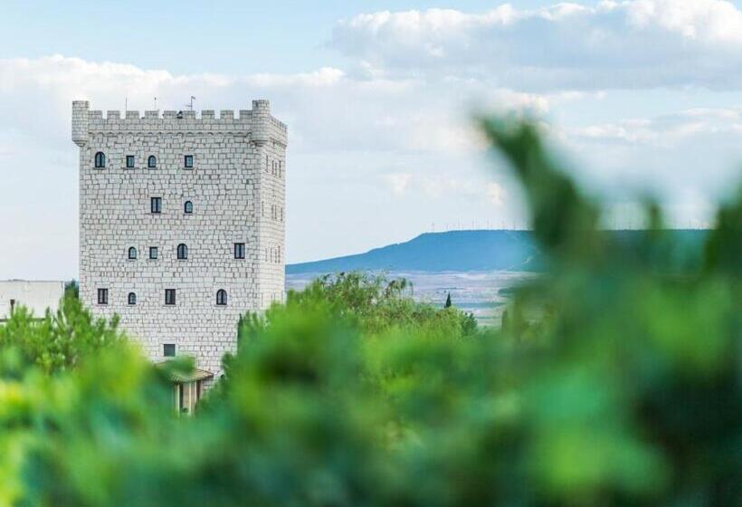 בית מלון כפרי Pago De Cirsus