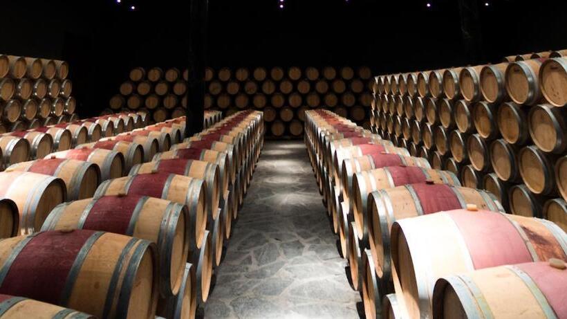 בית מלון כפרי Pago De Cirsus