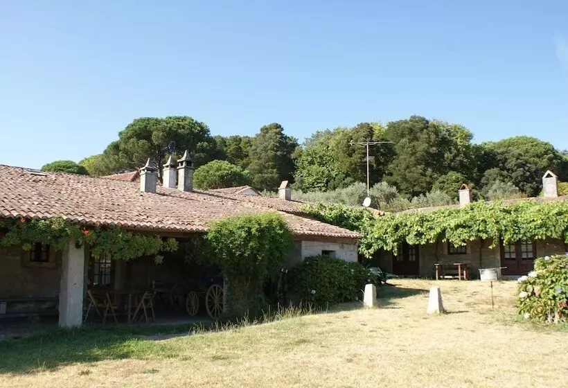 هتل Quinta Do Paco D Anha