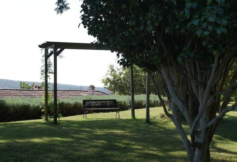 هتل Quinta Do Paco D Anha