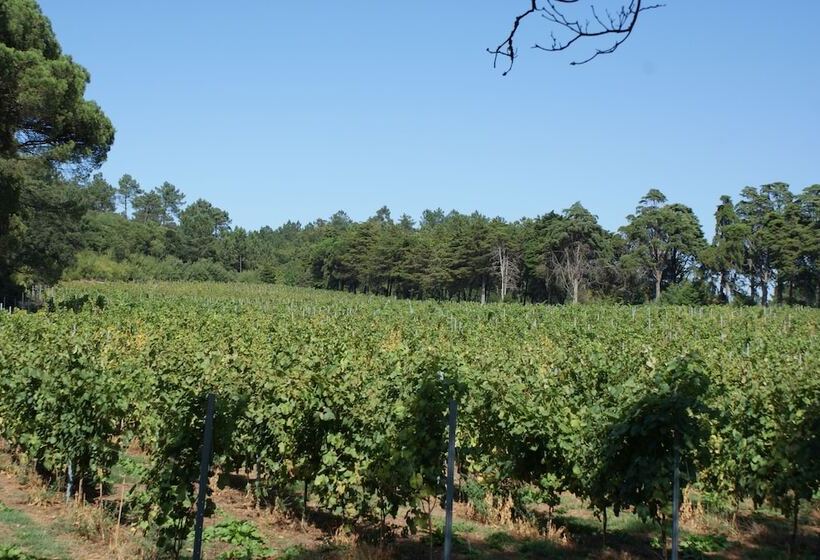 هتل Quinta Do Paco D Anha