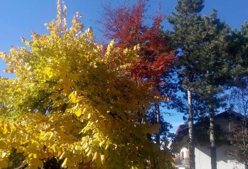 בית מלון כפרי Regina Delle Dolomiti