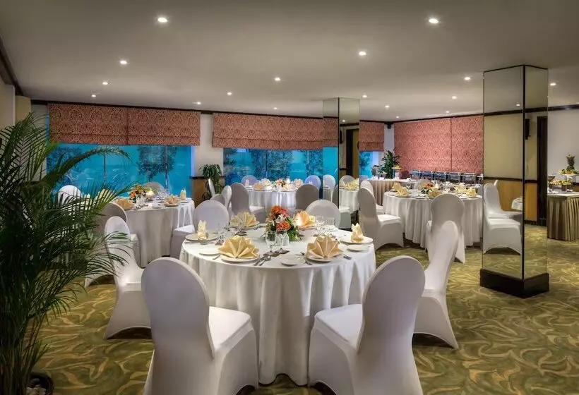 Savoy Suites Hotel Apartment   Newly Renovated