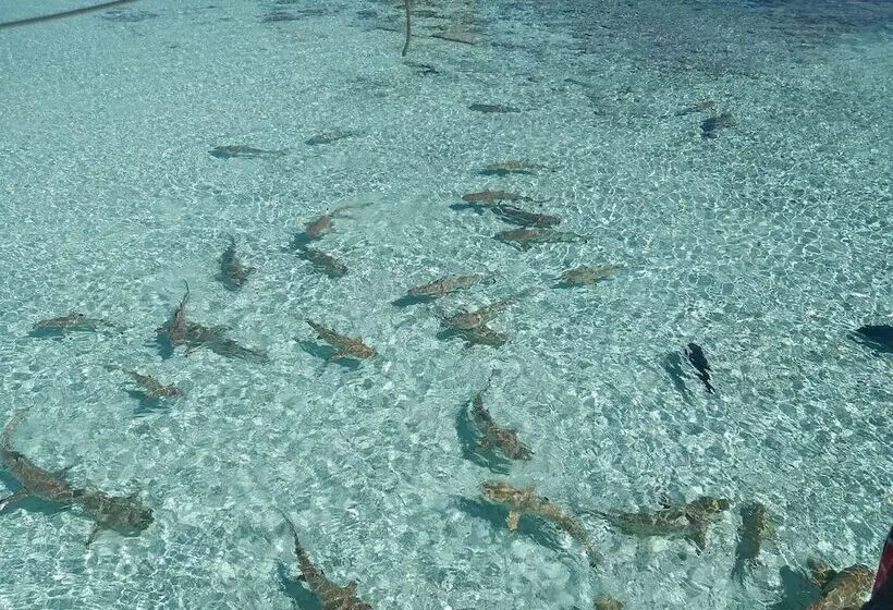 هتل Tetamanu Village