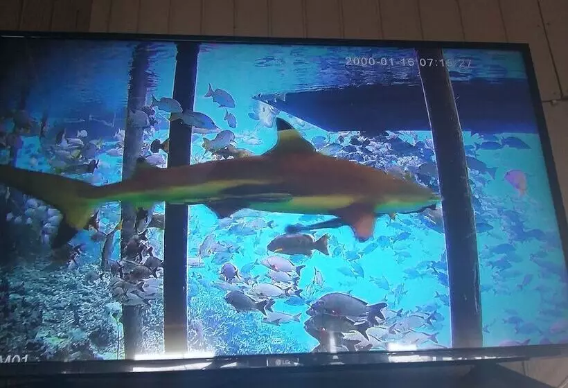 هتل Tetamanu Village