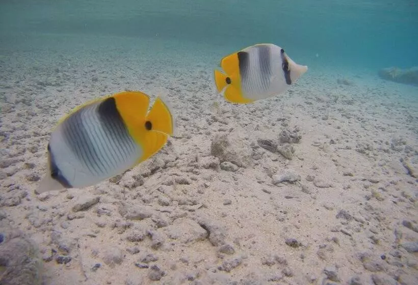 هتل Tetamanu Village