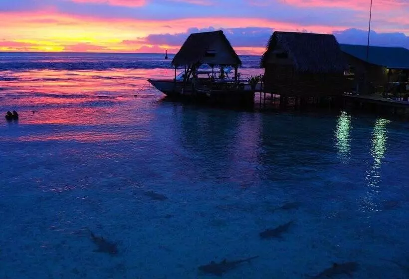 هتل Tetamanu Village