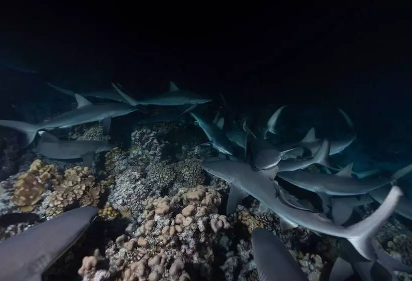 هتل Tetamanu Village