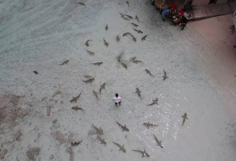 هتل Tetamanu Village