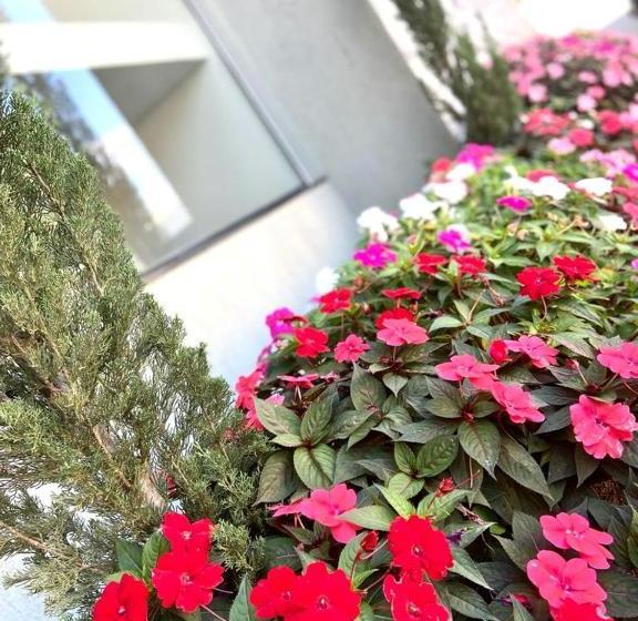 فندق Pousada Belvedere