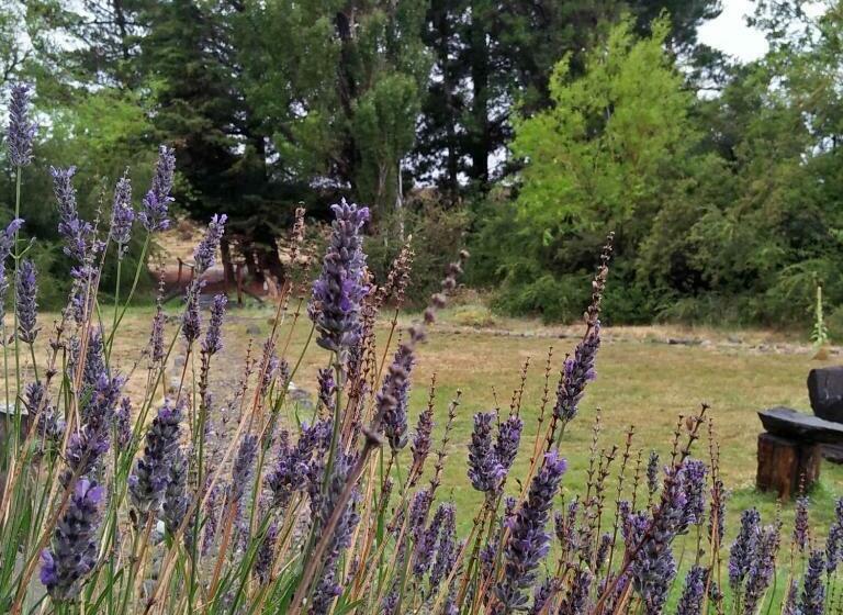 فندق صغير Estancia La Serena