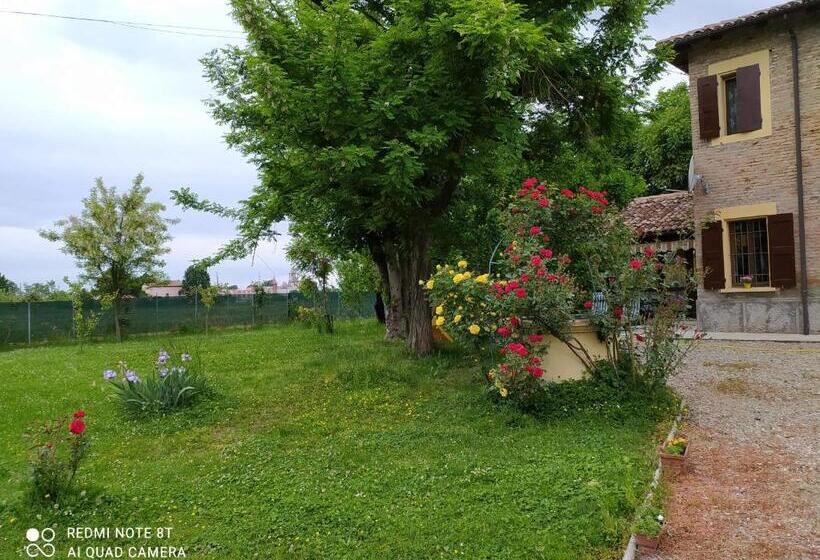 Bed and Breakfast La Rosa Selvatica