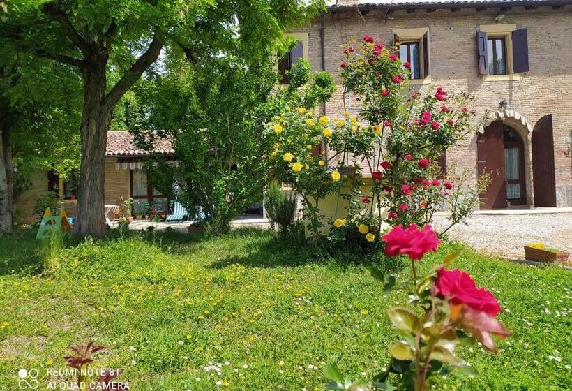 Bed and Breakfast La Rosa Selvatica